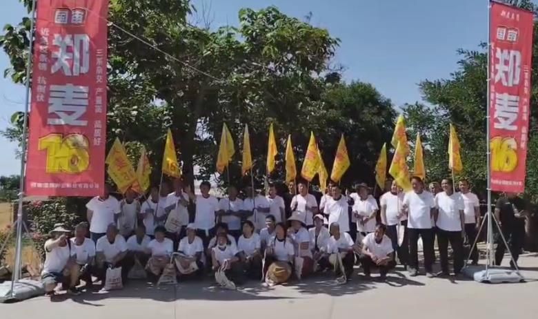 越來越多人選擇鄭麥16